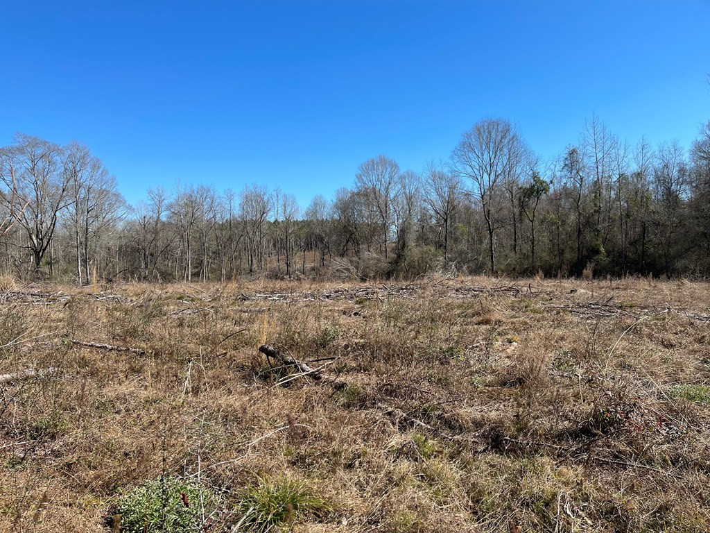 Lot 6 Moss Road Kokomo, MS 39643 - Photo 4 of 6 Photo 4