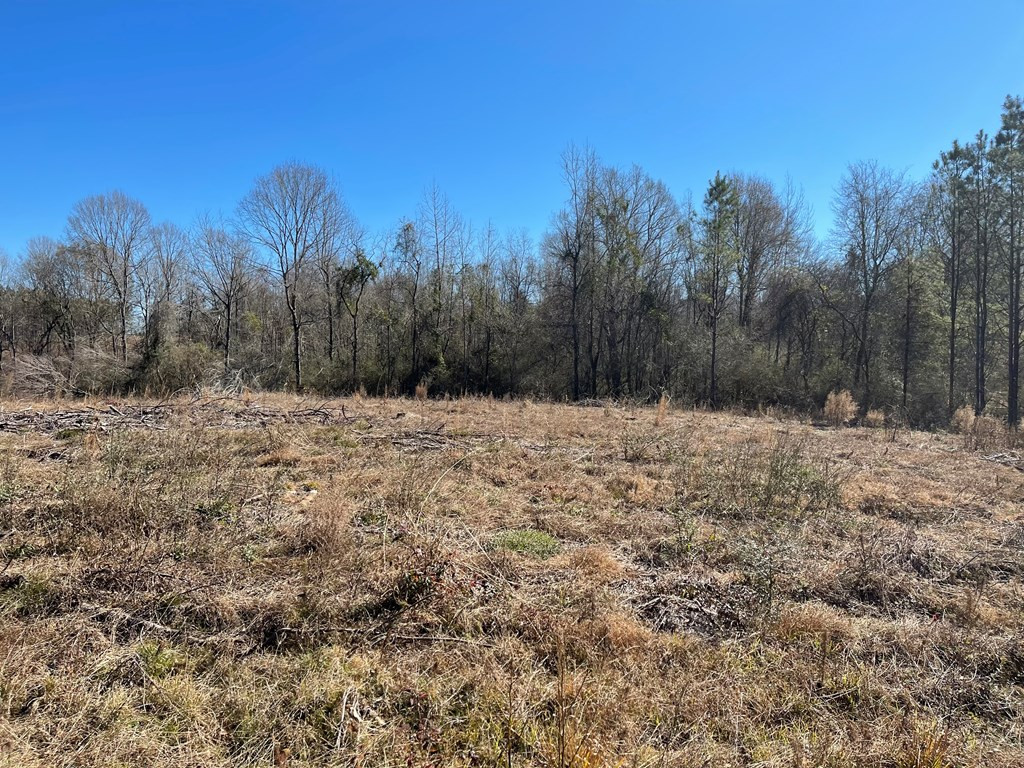 Lot 6 Moss Road Kokomo, MS 39643 - Photo 5 of 6 Photo 5