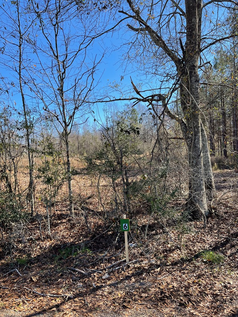 Lot 6 Moss Road Kokomo, MS 39643 - Photo 6 of 6 Photo 6