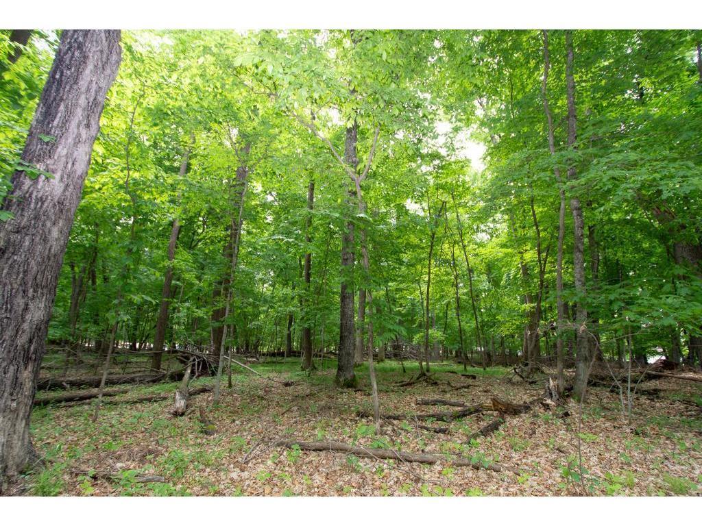 Xxx Ginseng Patch Road Crosslake, MN 56442 - Photo 1 of 1 Gallery Image 1