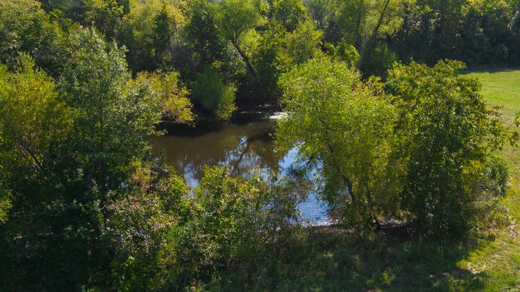 5484 North Fm 1743 Windom, TX 75492 - Photo 31 of 34 a view of a lake in a forest