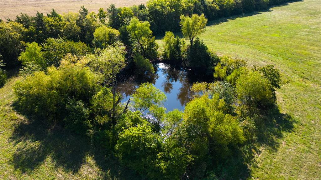 5484 North Fm 1743 Windom, TX 75492 - Photo 8 of 34 a view of lake