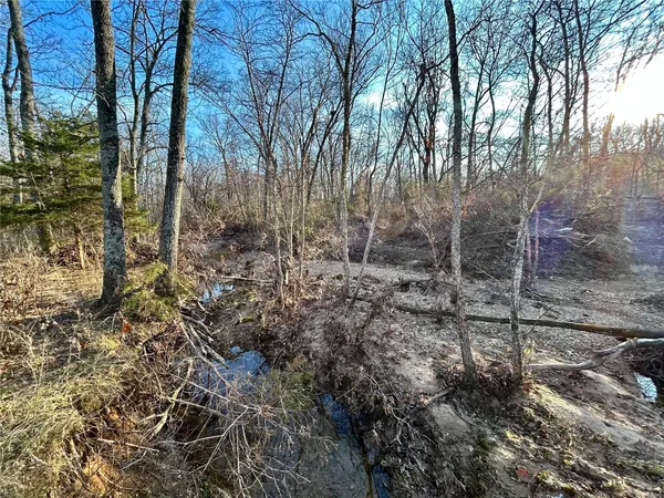 $220,000 | 0 Tbd Tract 2 Highway, Salem, MO 65560