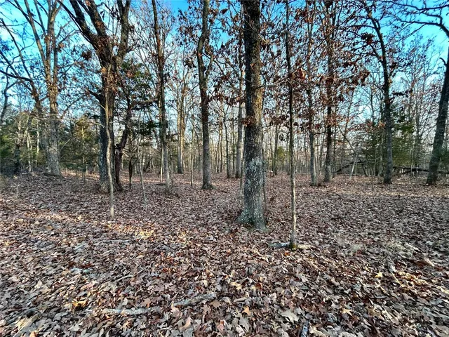 $220,000 | 0 Tbd Tract 2 Highway, Salem, MO 65560