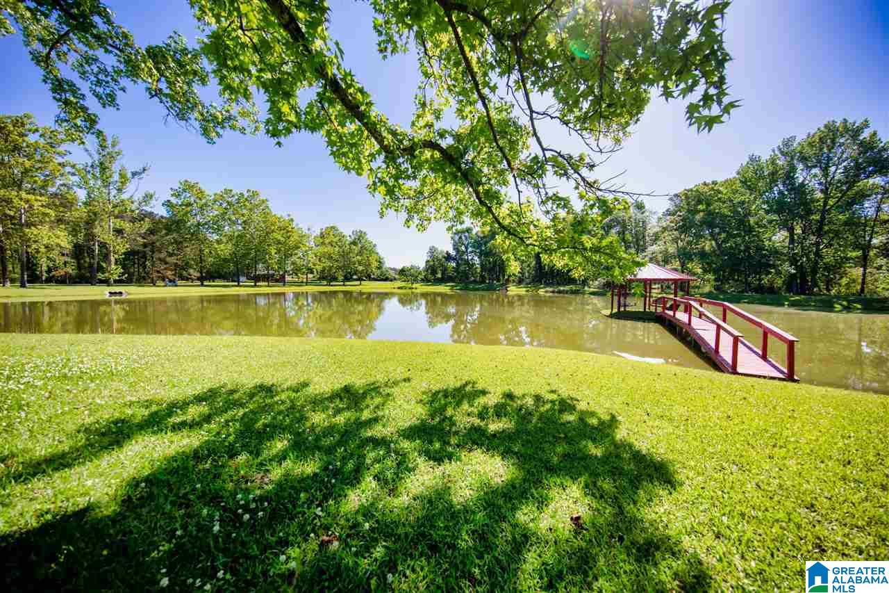 622 County Road 75 Clanton, AL 35045 - Photo 45 of 49