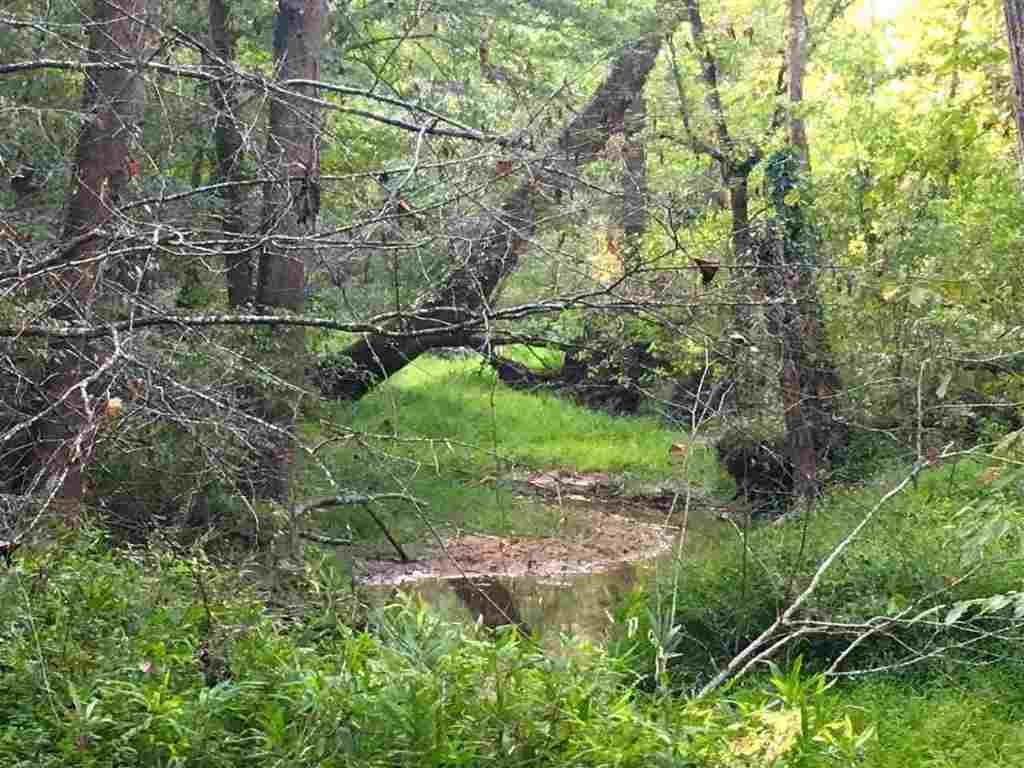 0 Beech Springs Road Belton, SC 29627 - Photo 12 of 24