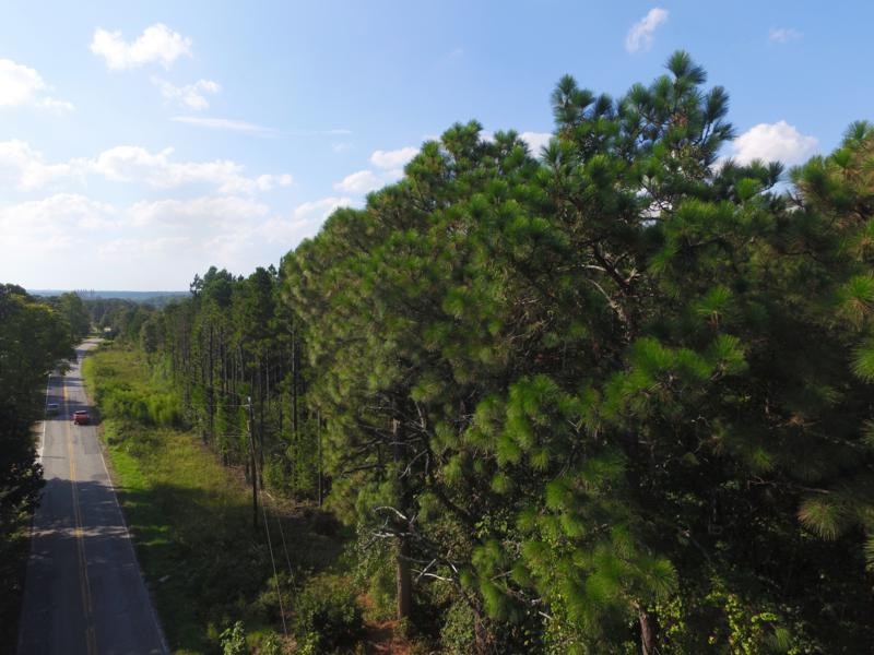 0 Beech Springs Road Belton, SC 29627 - Photo 14 of 24