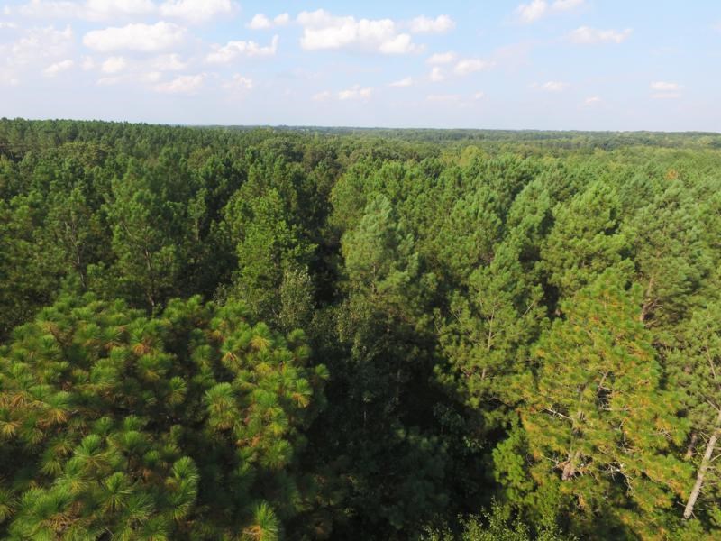 0 Beech Springs Road Belton, SC 29627 - Photo 15 of 24