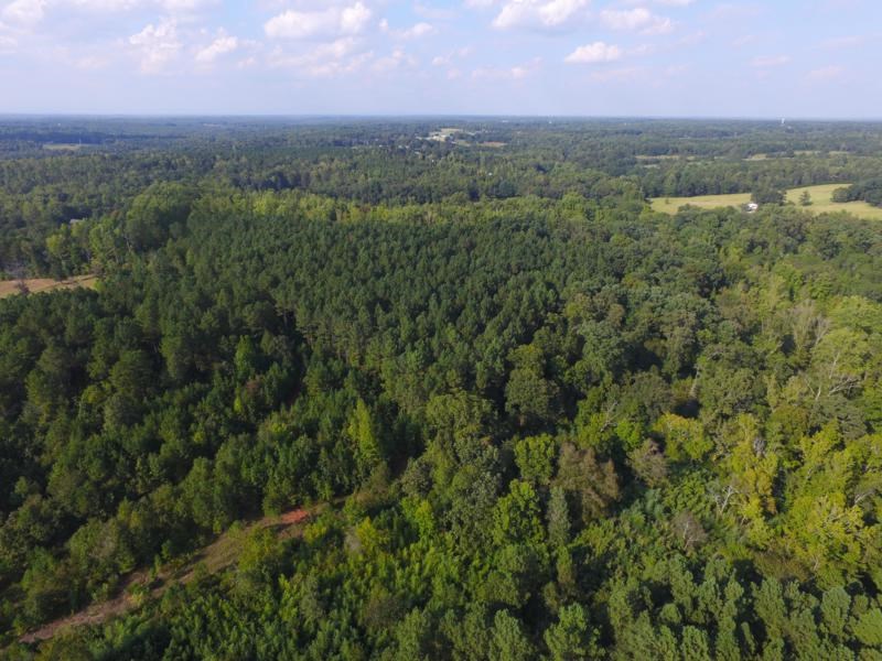 0 Beech Springs Road Belton, SC 29627 - Photo 18 of 24