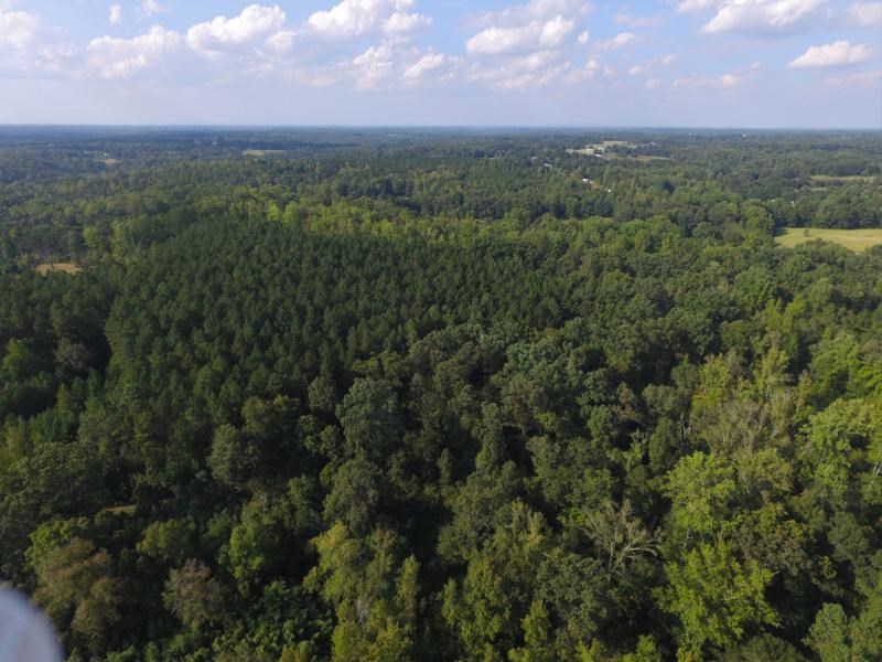 0 Beech Springs Road Belton, SC 29627 - Photo 19 of 24