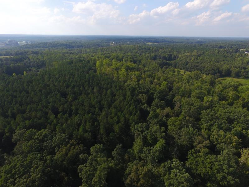 0 Beech Springs Road Belton, SC 29627 - Photo 20 of 24