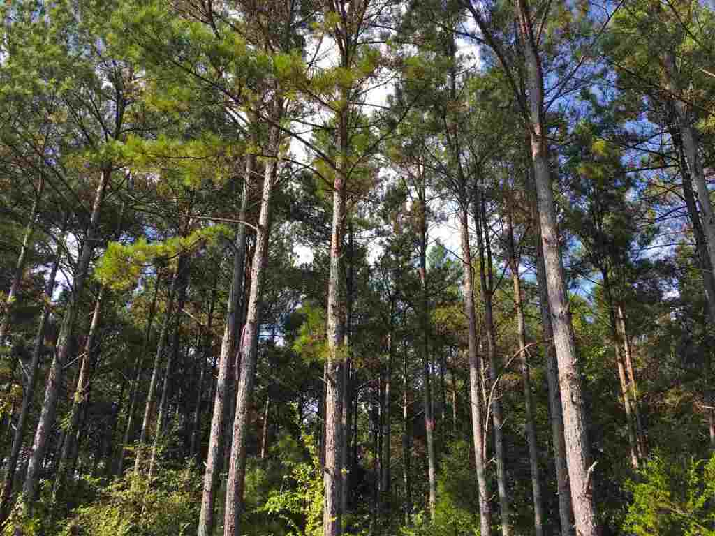 0 Beech Springs Road Belton, SC 29627 - Photo 2 of 24