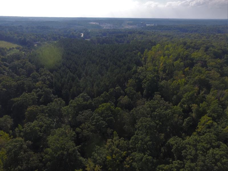 0 Beech Springs Road Belton, SC 29627 - Photo 21 of 24