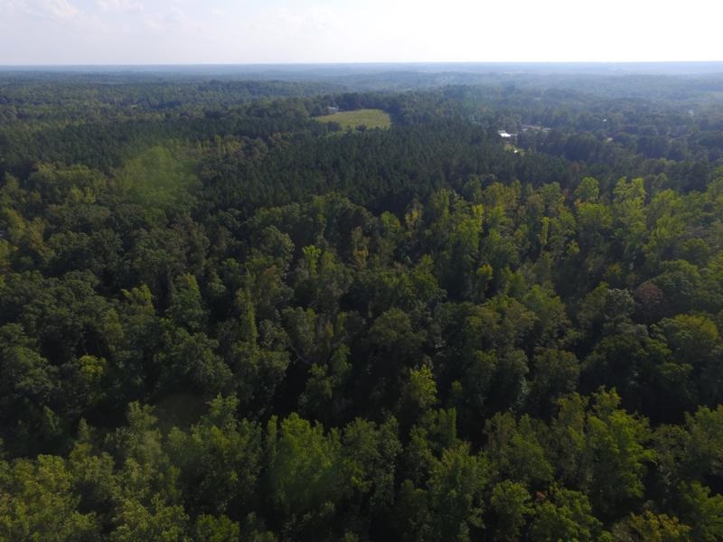 0 Beech Springs Road Belton, SC 29627 - Photo 22 of 24