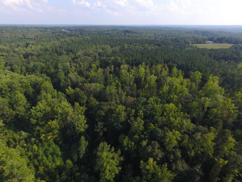 0 Beech Springs Road Belton, SC 29627 - Photo 23 of 24