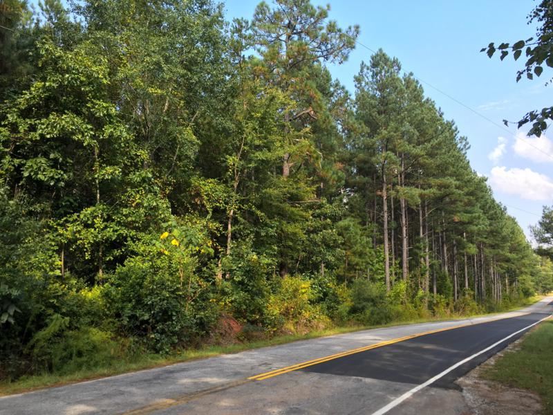 0 Beech Springs Road Belton, SC 29627 - Photo 24 of 24