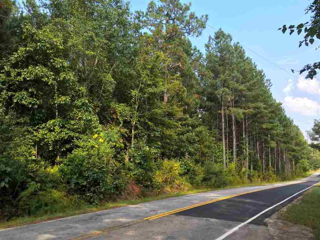 0 Beech Springs Road Belton, SC 29627 - Photo 3 of 24