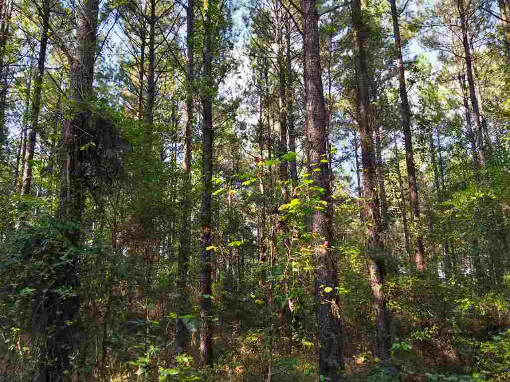 0 Beech Springs Road Belton, SC 29627 - Photo 5 of 24