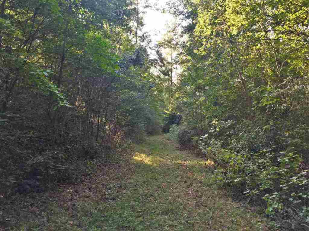 0 Beech Springs Road Belton, SC 29627 - Photo 7 of 24