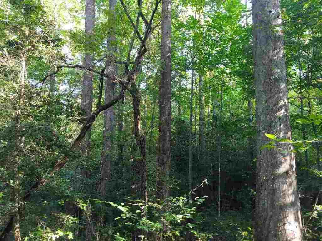 0 Beech Springs Road Belton, SC 29627 - Photo 9 of 24