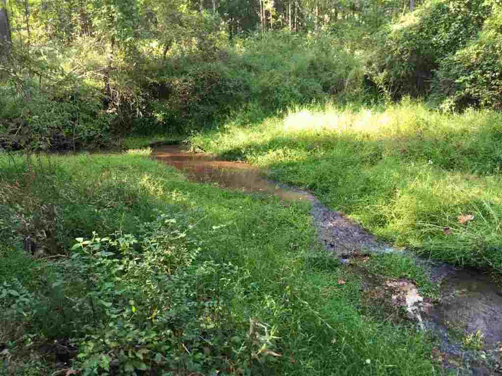 0 Beech Springs Road Belton, SC 29627 - Photo 10 of 24