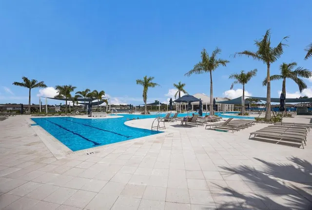 a view of a swimming pool with a garden and palm trees