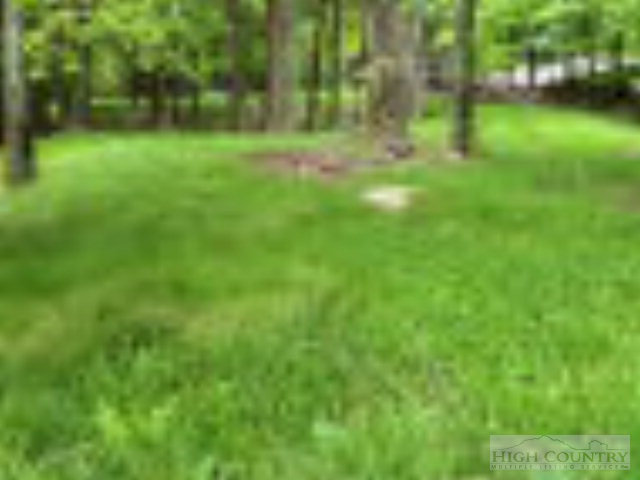 101 Grassy Gap Loop Road Beech Mountain, NC 28604 - Photo 1 of 1 Gallery Image 1