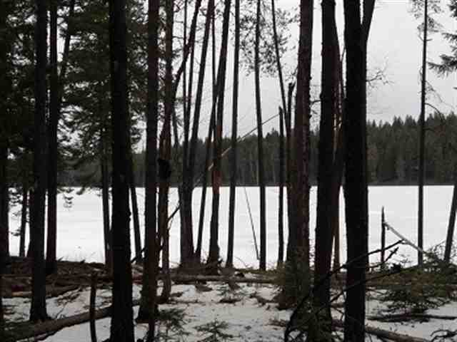 1772 Talache Road Sagle, ID 83860 - Photo 5 of 9