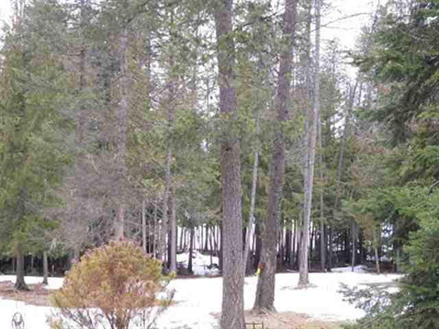 1772 Talache Road Sagle, ID 83860 - Photo 7 of 9