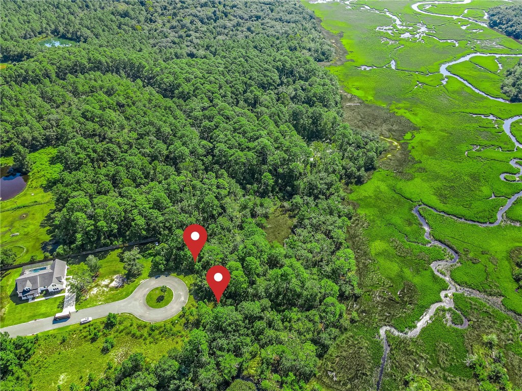a view of an flowers and plants