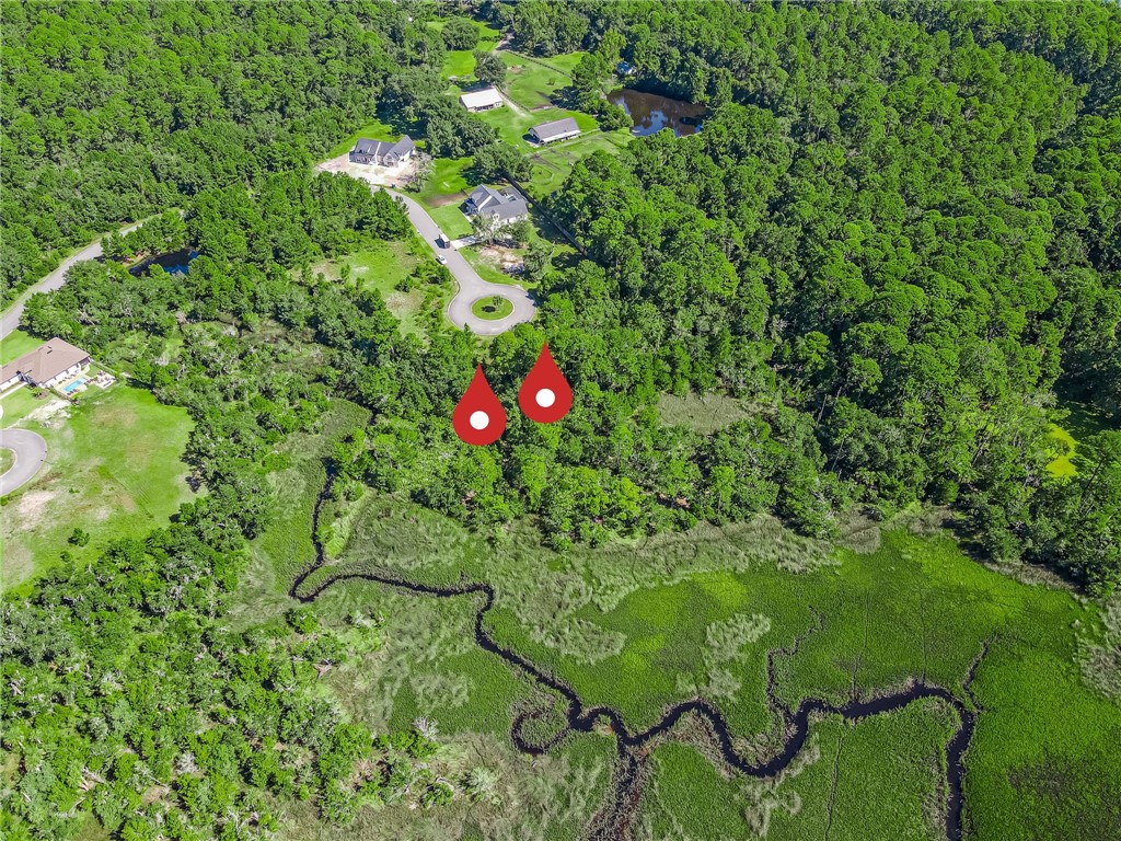 95375 Brookhill Place Fernandina Beach, FL 32034 - Photo 2 of 11 a view of a flower in a garden