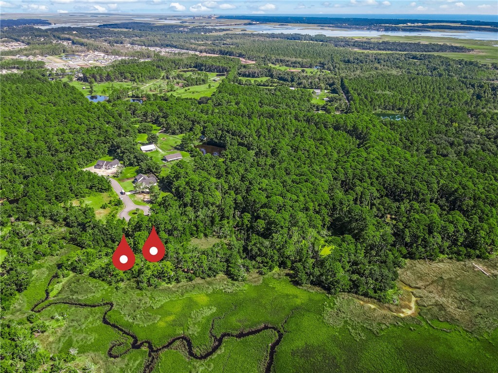 95375 Brookhill Place Fernandina Beach, FL 32034 - Photo 3 of 11 a view of a flower in a yard