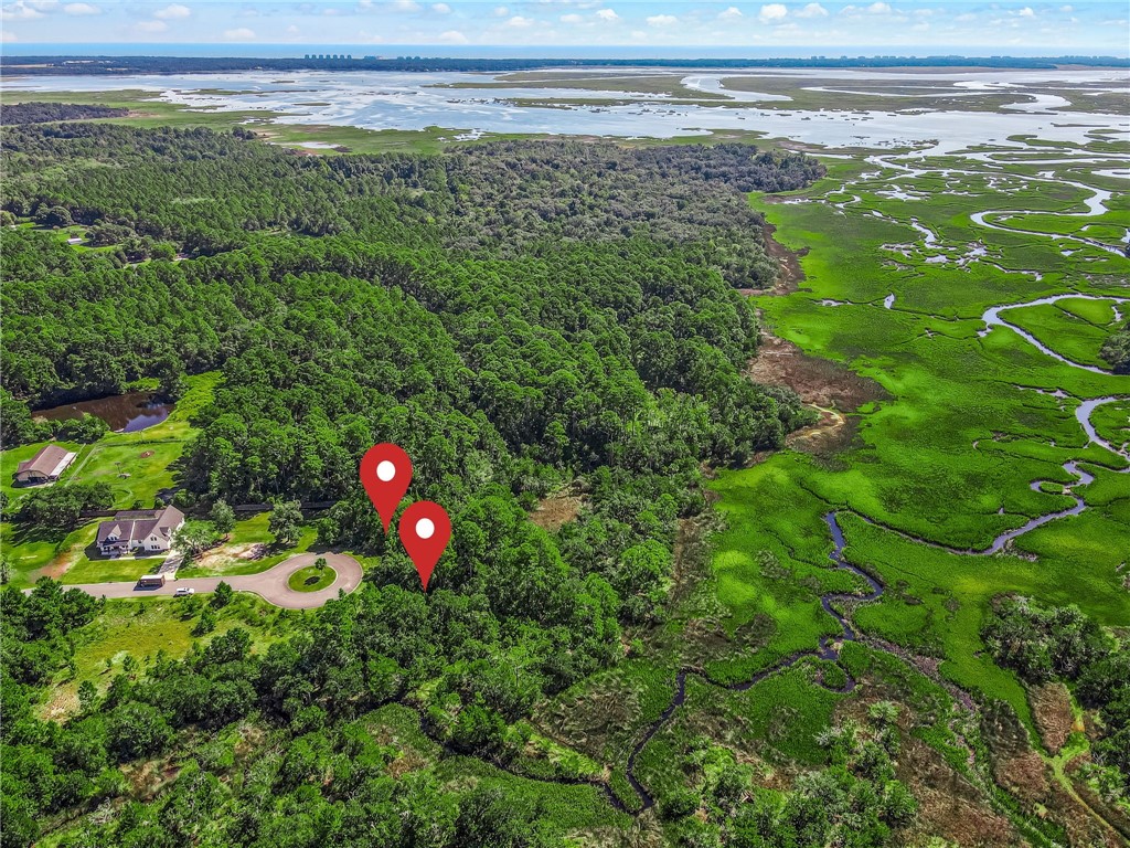 95375 Brookhill Place Fernandina Beach, FL 32034 - Photo 4 of 11 a view of an outdoor space and a yard