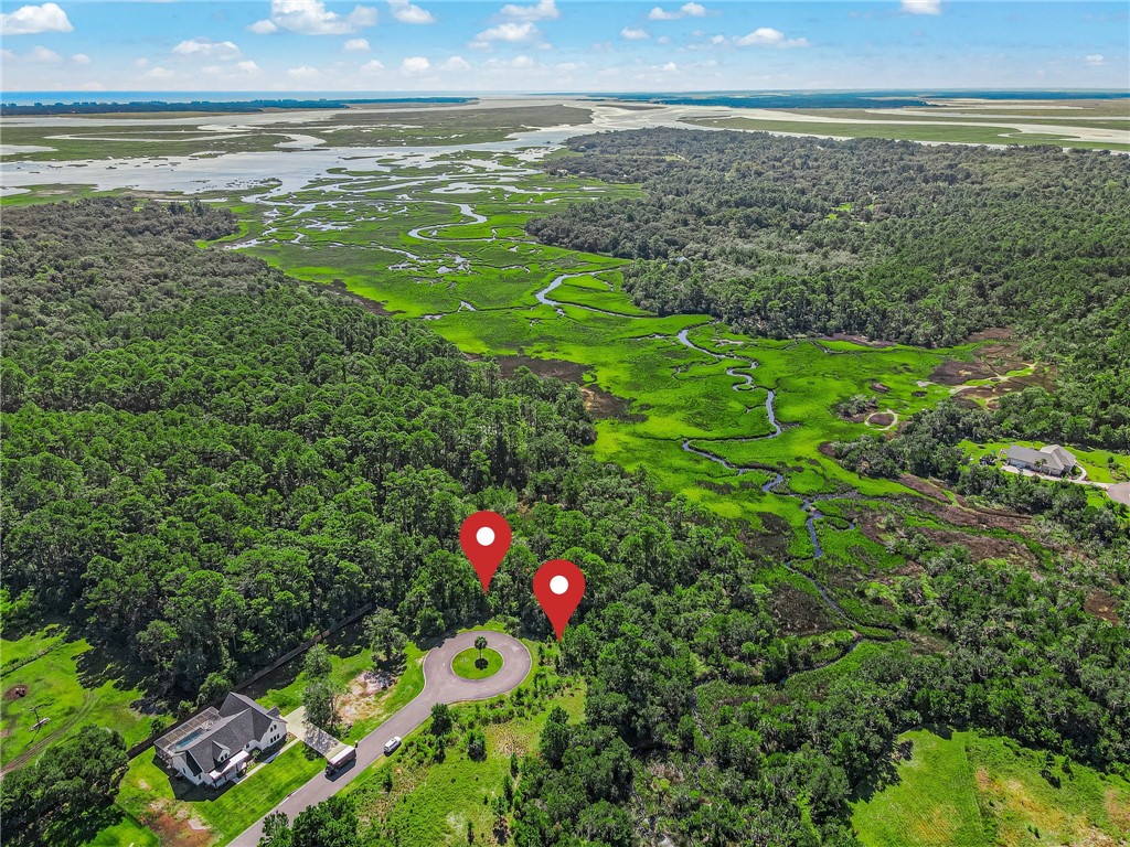 95375 Brookhill Place Fernandina Beach, FL 32034 - Photo 5 of 11 a view of a lush green field
