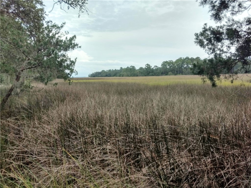 95375 Brookhill Place Fernandina Beach, FL 32034 - Photo 8 of 11 a view of a lake from a yard