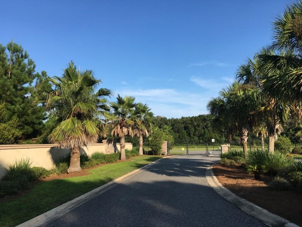 95375 Brookhill Place Fernandina Beach, FL 32034 - Photo 10 of 11 a view of a park with palm trees