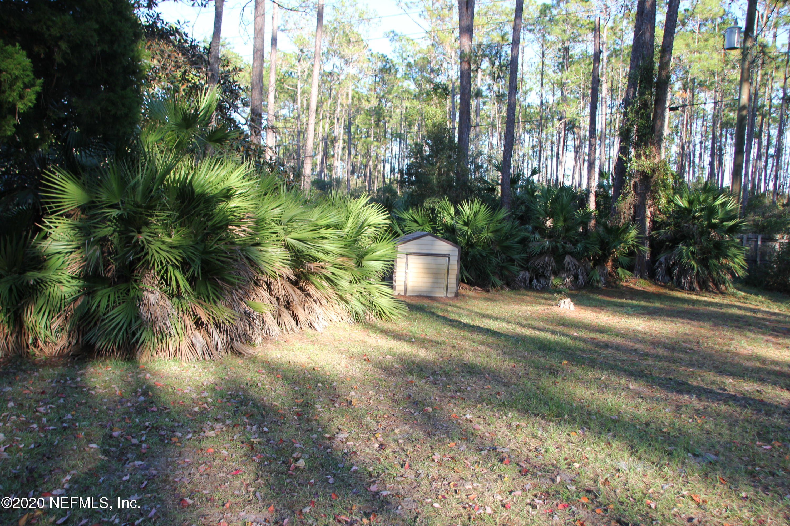 139 Whispering Pines Road Georgetown, FL 32139 - Photo 5 of 42 Privacy From the Street!