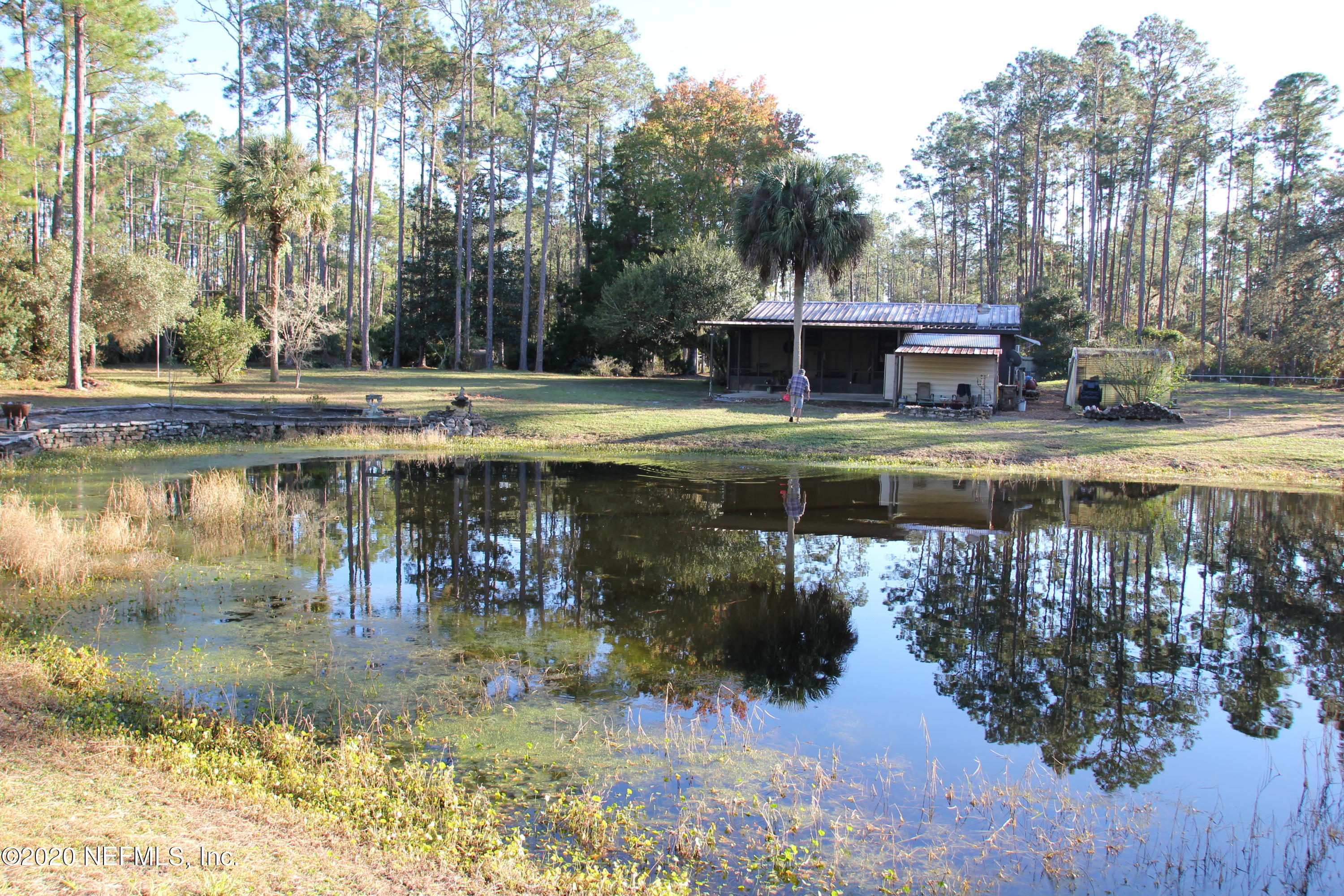 139 Whispering Pines Road Georgetown, FL 32139 - Photo 7 of 42 Feeding the Fish!