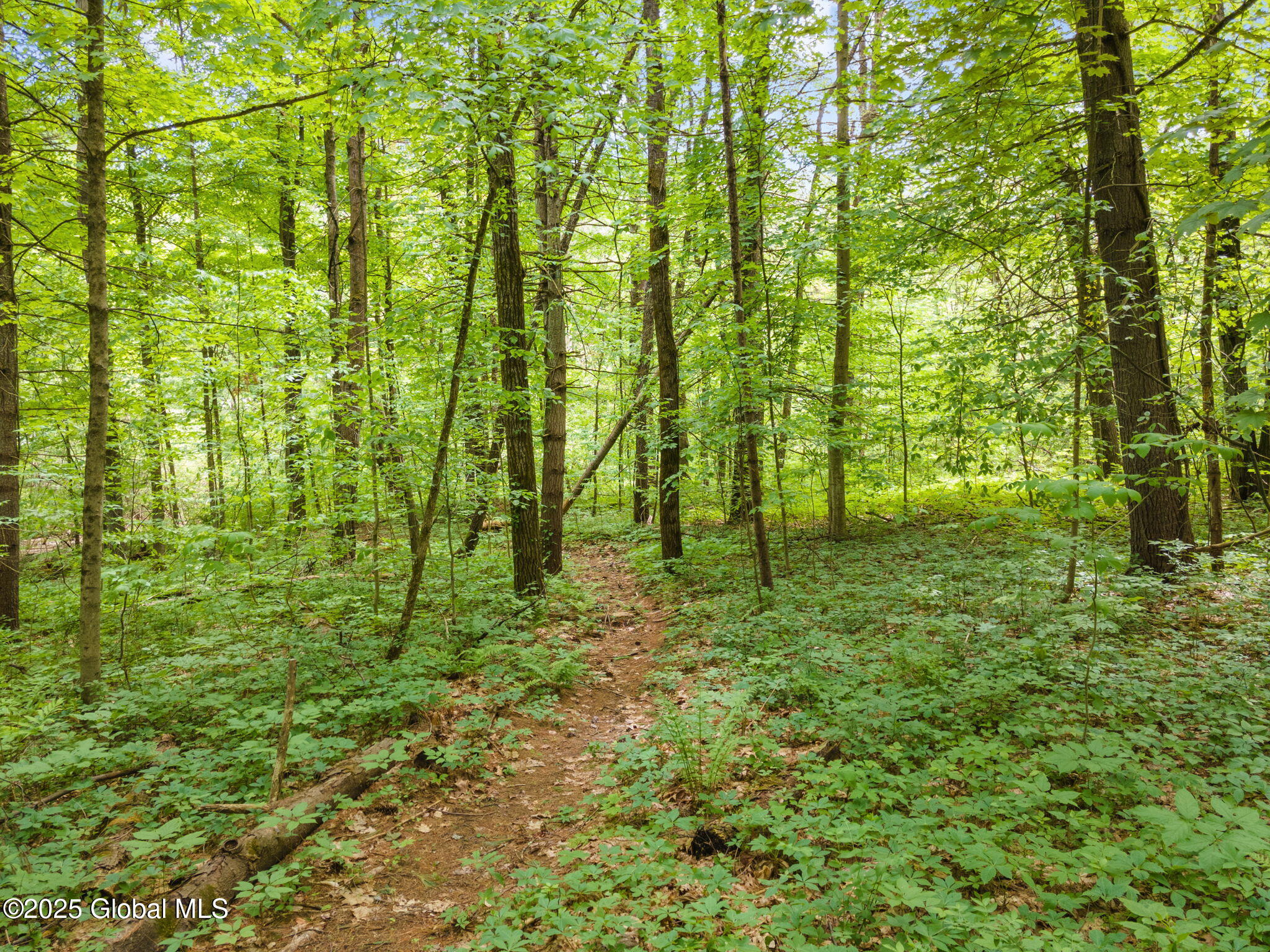 213 Paisley Road Milton, NY 12020 - Photo 44 of 45 57-213PaisleyRd_57