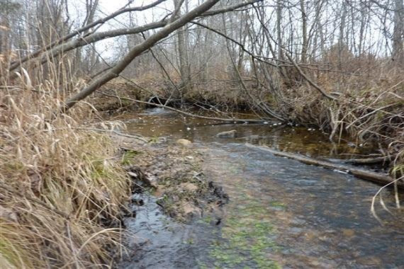 112 Mackinaw Trail Reed City, MI 49677 - Photo 1 of 15 Primary Photo