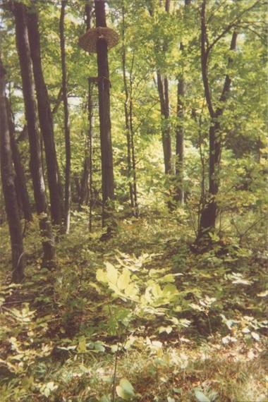 112 Mackinaw Trail Reed City, MI 49677 - Photo 12 of 15 Additional Photo