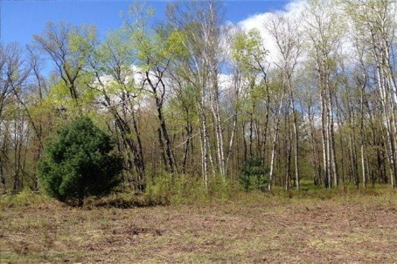 112 Mackinaw Trail Reed City, MI 49677 - Photo 4 of 15 Additional Photo