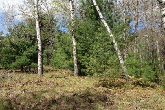 112 Mackinaw Trail Reed City, MI 49677 - Photo 5 of 15 Additional Photo