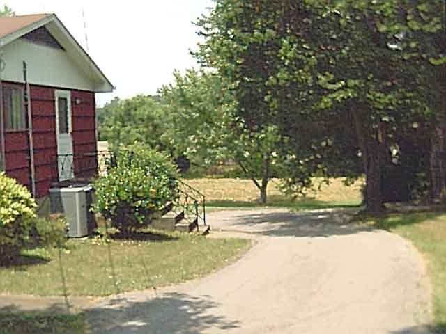 8623 East Brainerd Road Chattanooga, TN 37421 - Photo 4 of 5 Additional Photo