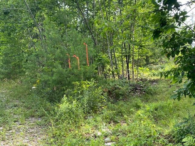 Lot 38 Off Powhatan Road Otisfield, ME 04270 - Photo 5 of 6 4