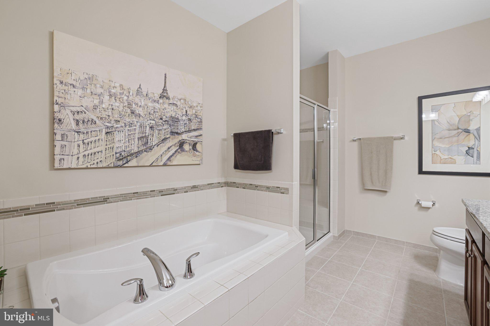 1406 Ribbon Limestone Terrace Southeast Leesburg, VA 20175 - Photo 17 of 39 Separate Tub and Shower in Primary Bath