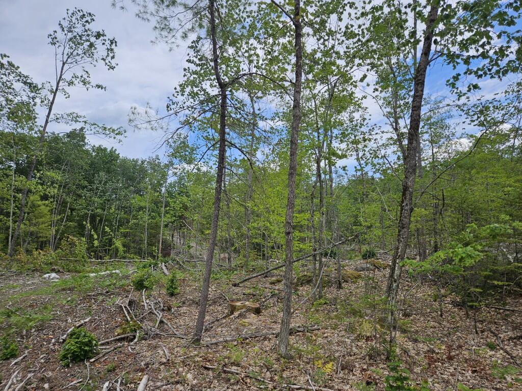 19 A Quaker Ridge Road Leeds, ME 04263 - Photo 4 of 37 20260716_132756
