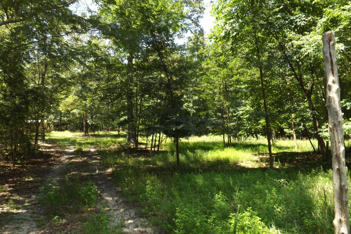 900 Stump Hollow Road Spring City, TN 37381 - Photo 2 of 12 Stump Hollow 2