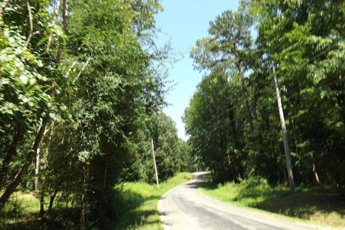 900 Stump Hollow Road Spring City, TN 37381 - Photo 12 of 12 Stump Hollow 12