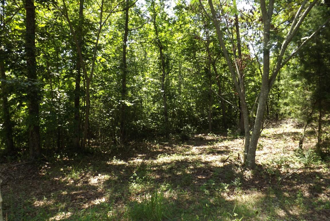 900 Stump Hollow Road Spring City, TN 37381 - Photo 3 of 12 Stump Hollow 3